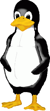 Nice Penguin
